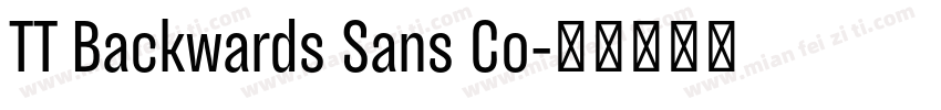 TT Backwards Sans Co字体转换